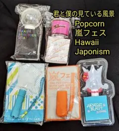 嵐 ペンライト Popcorn 君と僕の見ている風景 Hawaii 嵐フェス