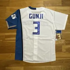 日本ハムファイターズ 郡司裕也選手 グリッターワッペン ユニフォーム