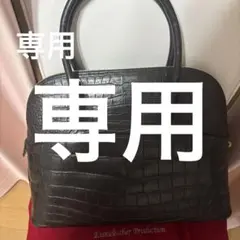 えっちゃん様　専用　クロコダイル　ハンドバッグ