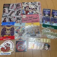 ディズニーランドステッカーセット　ベリーベリーミニー！クリアファイル　シール