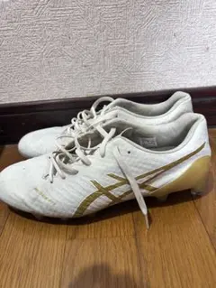 アシックスDSライトアクロススパイク