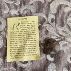 Item thumbnail for item 5059e46b-da9f-4046-9f02-27c7a62796c5