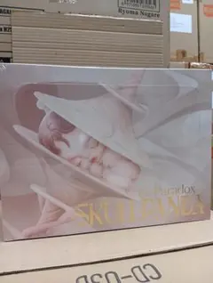 スカルパンダ ザパラドックス シリーズ