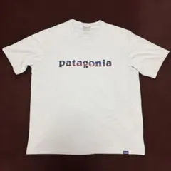 patagonia Capilene Cool Daily Tシャツ Lサイズ