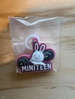 めじるし　ミニティーン　MINITEEN ガチャ　エスクプス　スンチョル