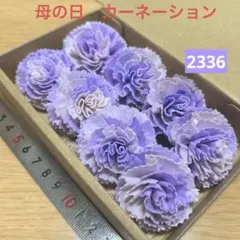 ソラフラワー　2336