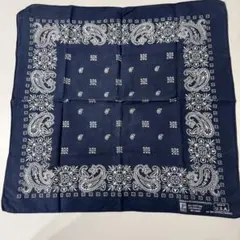 Item thumbnail for item ce2fe710-2187-4b01-adf5-e1642cce158c