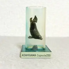 旭山動物園 アザラシ
