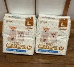 Item thumbnail for item 2c0c6faa-b0e4-4acc-a05e-f2ef97d13a8c