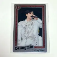 Stray Kids seungmin スンミン ライブフォト エコパ トレカ