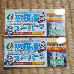 恐羅漢スノーパーク リフト１日券　2枚セット　2025-2026