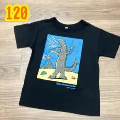 Item thumbnail for item f71cb384-716f-4b11-b9ca-a17178c97e2c