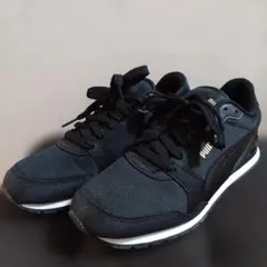 Item thumbnail for item e9463c26-b3e1-492c-ba56-793e096a3e77