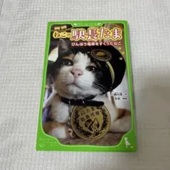 値下げ!!ねこの駅長たま びんぼう電車をすくったねこ 角川つばさ文庫