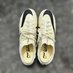 Item thumbnail for item cdf6b0a8-3a9e-4084-a41a-cfe23b6e7905