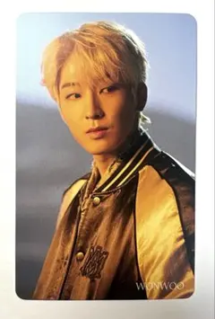 ウォヌ　SEVENTEEN トレカ　facethesun HMV