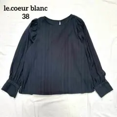 le.coeur blanc ブラウス シャツ シアー ネイビー 上品 38のサムネイル