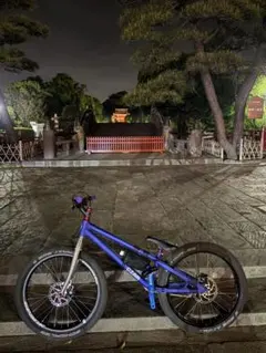 24'' ECHO CZAR Street ストリート トライアル バイク - メルカリ