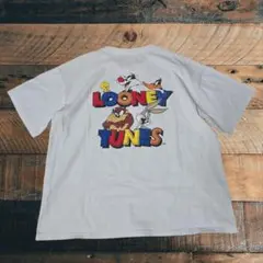 ☆新品/RIPNDIP/NO PLACE LIKE HOME Tシャツ/Sサイズ - メルカリ