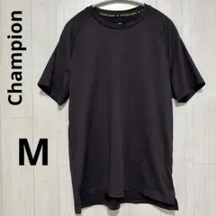 Champion Tシャツ POWER CORE ボーダー M チャンピオン