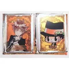 家庭教師ヒットマンREBORN！ 沢田綱吉 リボーン