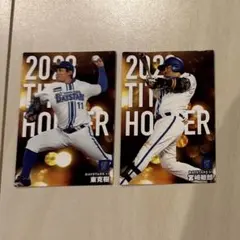 プロ野球チップス　2024 横浜ベイスターズ 山﨑　東　カード