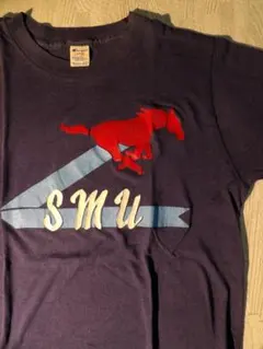 80s トリコタグ チャンピオン ヴィンテージT フロントプリント