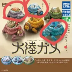 大陸ガメ タイリクガメ 〈伝説の大陸〉 【全5種セット(フルコンプ
