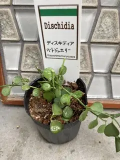 こーみん様 リクエスト 4点 まとめ商品