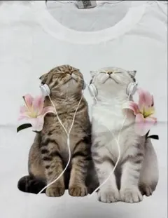 猫柄　コットンTシャツM 音楽を聴く猫ちゃんたち　猫柄かわいいTシャツ