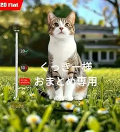 くっきー様 リクエスト 3点 おまとめ商品