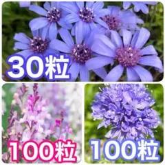 まさ様 リクエスト 2点 まとめ商品