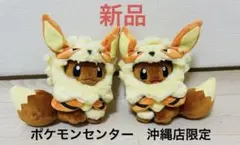ポケモンセンター沖縄限定 ウィンディポンチョを着たイーブイぬいぐるみ2種セット 新品】ポケモンセンター沖縄限定 ウィンディポンチョを着た