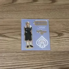 &TEAM HARUA ポップアップ アクスタ