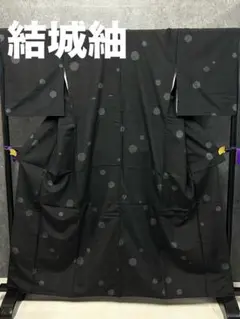IO-12 夏着物 正絹 小紋 黒色 蜘蛛の巣 単衣 絽 身丈長め - メルカリ