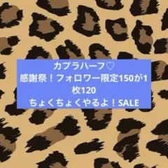 カプラハーフ