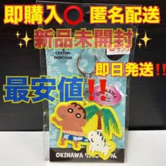 新品未開封‼️ 沖縄限定 クレヨンしんちゃん 日焼け ビーチ キーホルダー