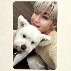 ZB1　テレ　デジパック　All ver レオ　犬　トレカ