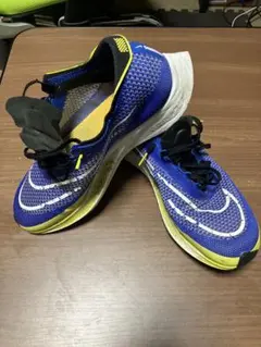 NIKE ストリークフライ 25.5cm ブルー