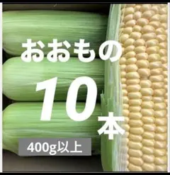 73【ご購入後収穫】400g以上！スイートコーン（おおもの）　10本のサムネイル