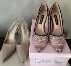 本日限定価格！