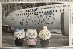 【10月20日】ちいかわジェット ANA 新聞記事 切り抜き