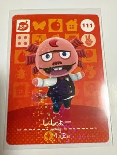 amiiboカード　ししょー　あつ森　アミーボ