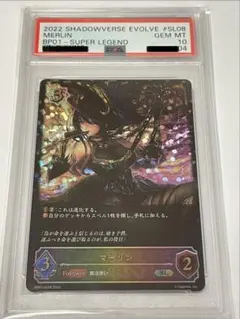 PSA9】ラスティ・ウォレス① F1 - メルカリ