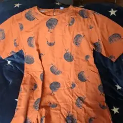 Item thumbnail for item dd8d88f6-8ea0-45f0-86c1-3f0fea328dde