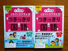 ぽつか様専用　となりにカテキョ つきっきり国語（説明文と物語文）の２冊セット