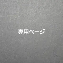 専用ページ