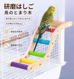 【訳あり】ラスト１点　止まり木 S字はしご 5段 カラフル 爪とぎ 鳥用品