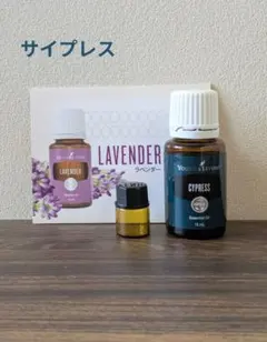 【タイムセール】Cypress（サイプレス）15mlおまけ付き　ヤングリヴィングのサムネイル