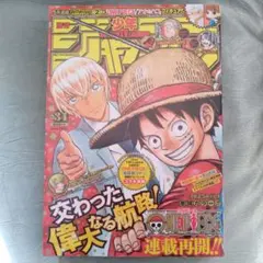 ジャンプフェア 2014 アニメイト ワンピース ステッカー - メルカリ